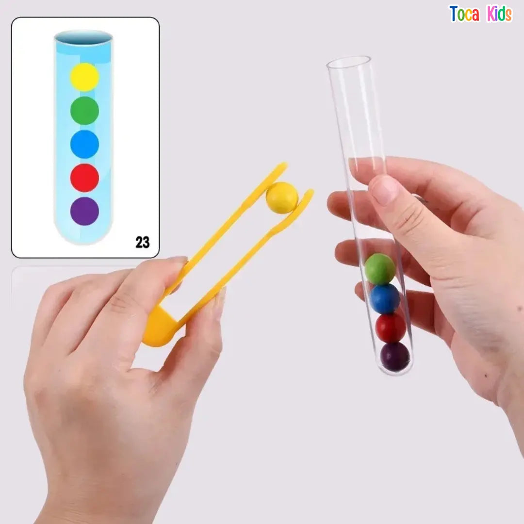 Kit Brinquedo Montessori – Concentração, Lógica e Treino Motor | Toca Kids